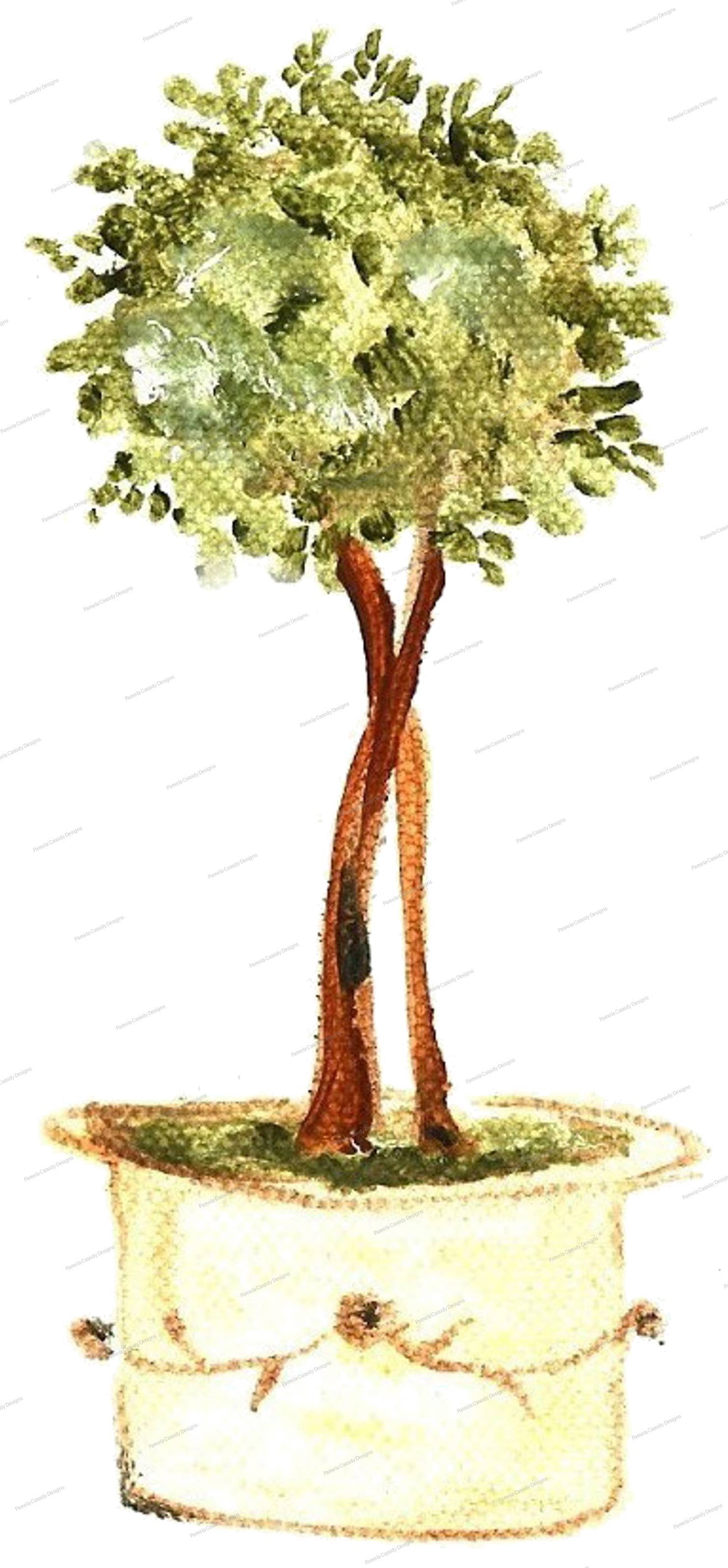Boxwood Kitchen Towel