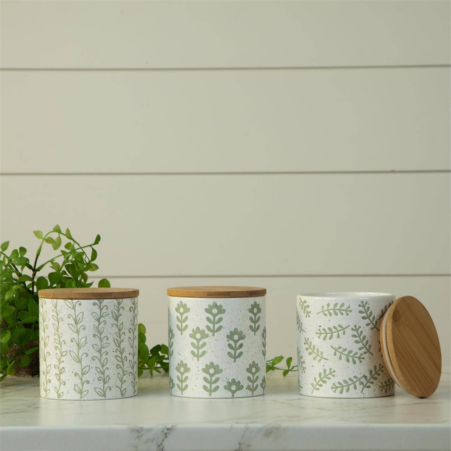 Leafy Green Dolomite Canisters (Pk/03 Ast)
