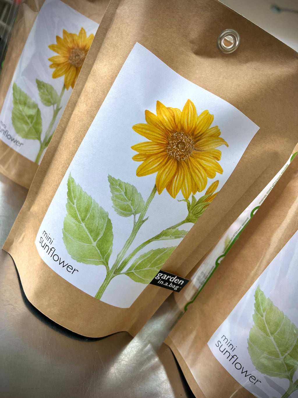 Garden in a Bag | Sunflower | Flower lover | Best Seller