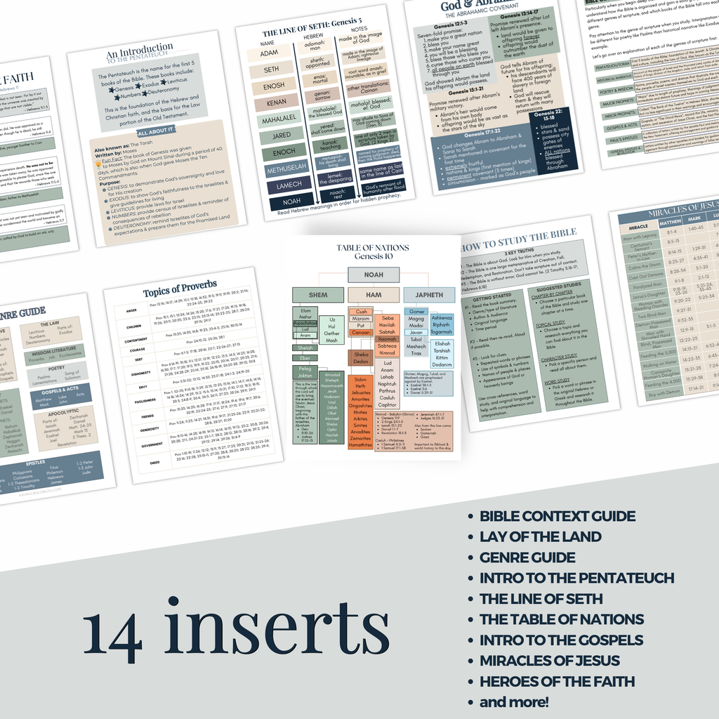 Men's Bible Inserts