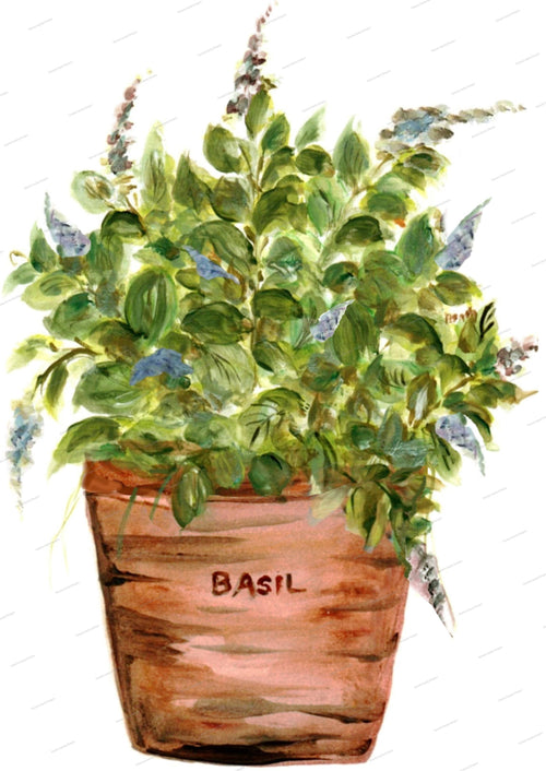 Basil Kitchen Towel